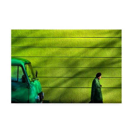 Trademark Fine Art Zlatko Vickovic 'Old Green' Canvas Art, 16x24 1X08828-C1624GG